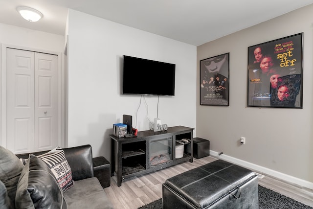 living room featuring wood-type flooring