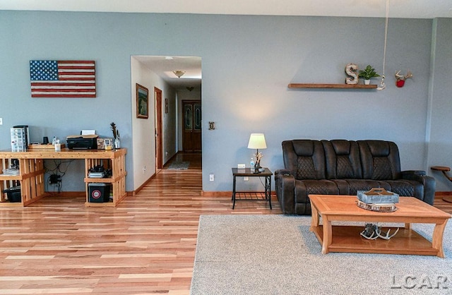 living room with hardwood / wood-style flooring