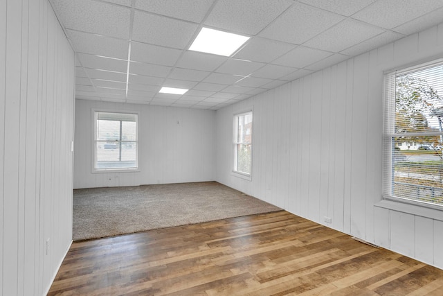 empty room featuring a drop ceiling, a healthy amount of sunlight, and wood-type flooring