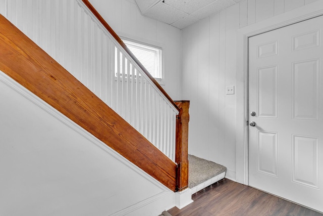 stairway with wood-type flooring and wooden walls