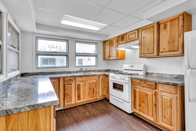 kitchen with dark hardwood / wood-style flooring, white appliances, a paneled ceiling, and sink