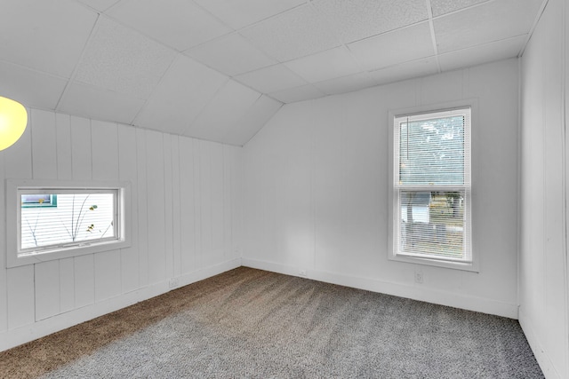 bonus room featuring carpet flooring