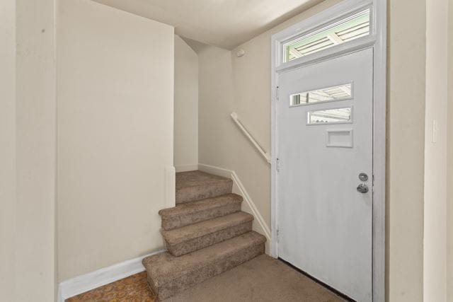 stairs featuring carpet floors