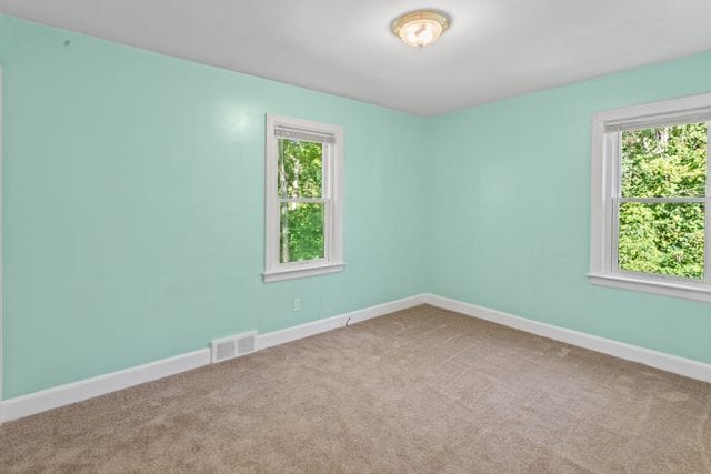 empty room with carpet and plenty of natural light