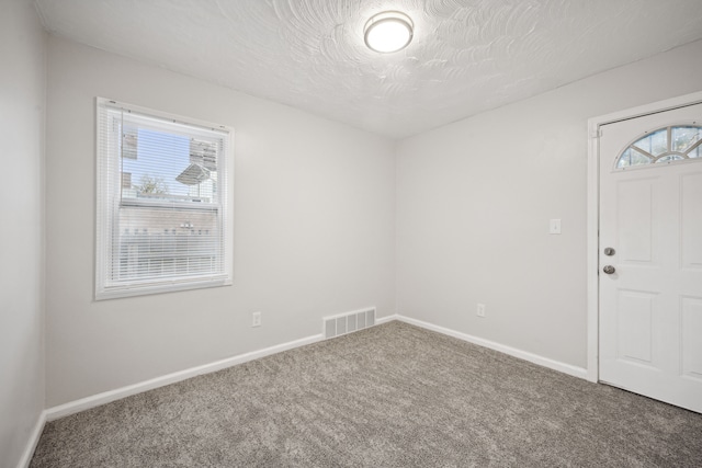 spare room featuring carpet, a healthy amount of sunlight, and a textured ceiling