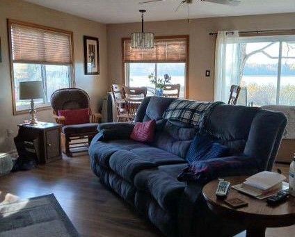 living room featuring ceiling fan and wood-type flooring