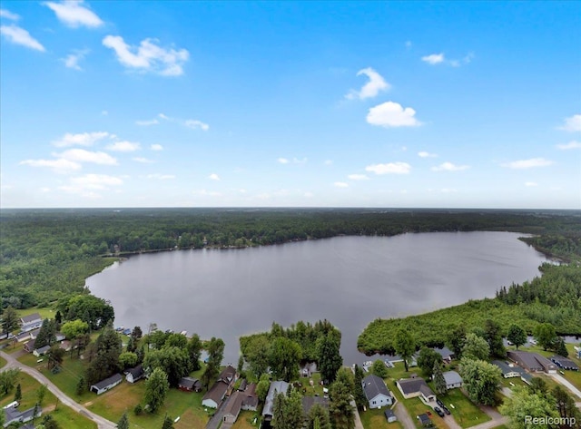 2898 E Lake Dr, Lupton, MI 48635 - photo 2