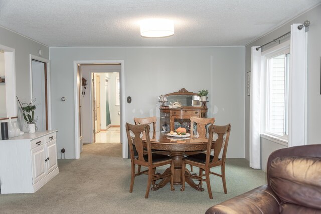 317 Maiden Ln, Saint Joseph, MI 49085 - dining area with light colored carpet and a textured ceiling