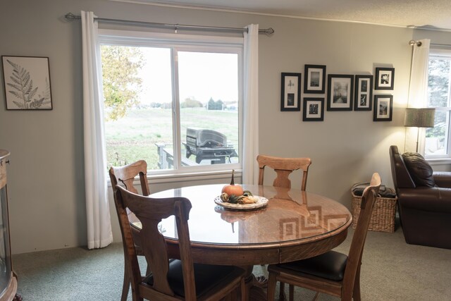 317 Maiden Ln, Saint Joseph, MI 49085 - dining area featuring carpet and ornamental molding