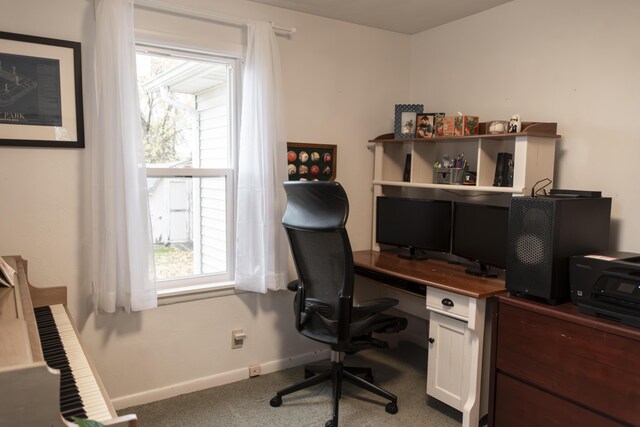 317 Maiden Ln, Saint Joseph, MI 49085 - office featuring plenty of natural light, carpet floors, and baseboards