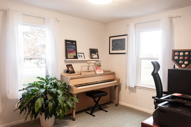 miscellaneous room with carpet