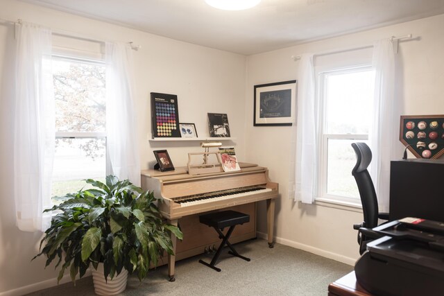 317 Maiden Ln, Saint Joseph, MI 49085 - office featuring light colored carpet and baseboards