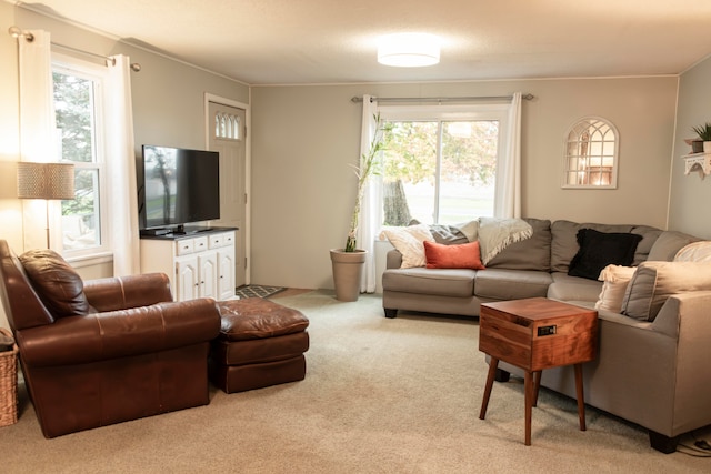 carpeted living room featuring a wealth of natural light