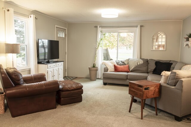 317 Maiden Ln, Saint Joseph, MI 49085 - living area featuring carpet floors and plenty of natural light