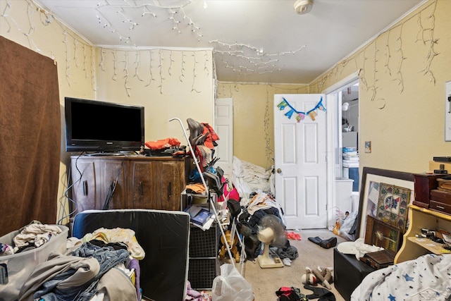 bedroom with carpet