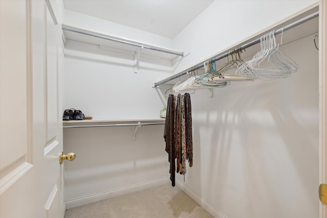 spacious closet with light carpet