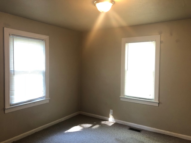 unfurnished room with carpet flooring and a wealth of natural light