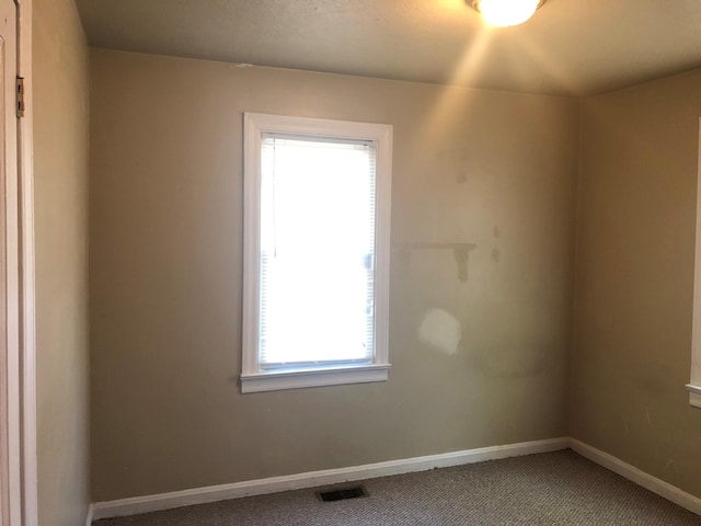 unfurnished room with carpet and a wealth of natural light