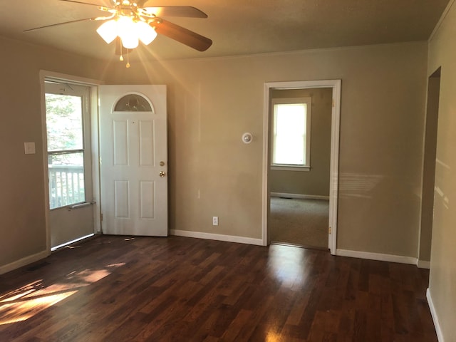 foyer entrance featuring ceiling fan, dark hardwood / wood-style flooring, and crown molding