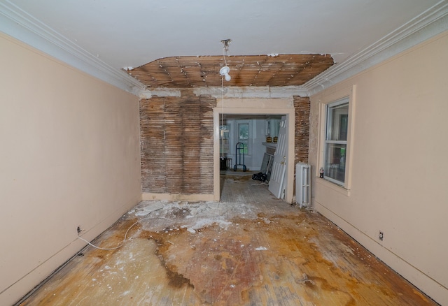 interior space featuring radiator and ornamental molding