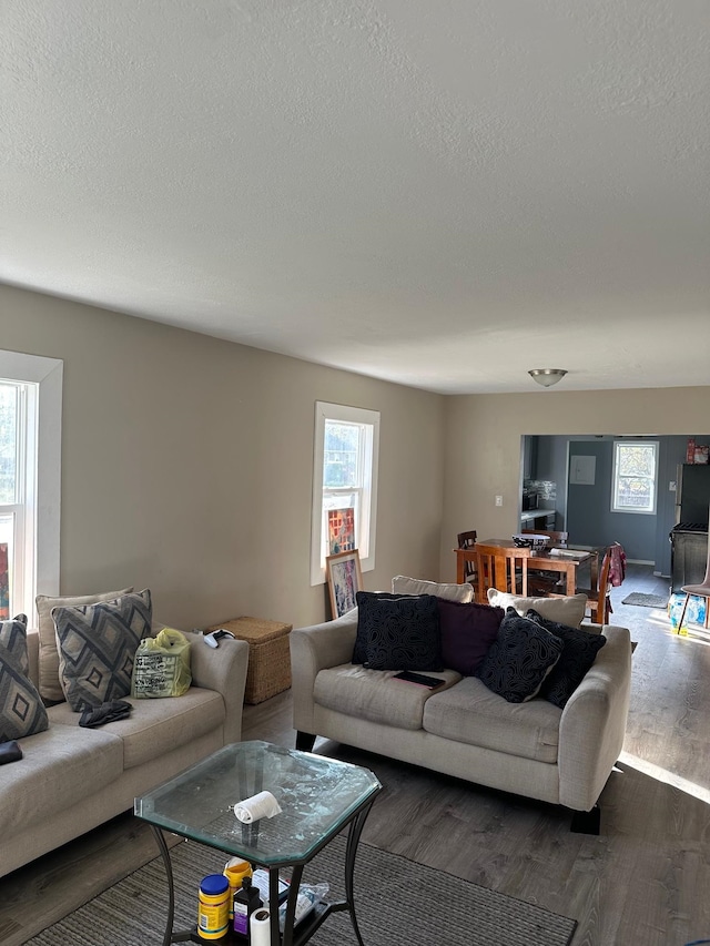 living room featuring a textured ceiling and dark hardwood / wood-style floors