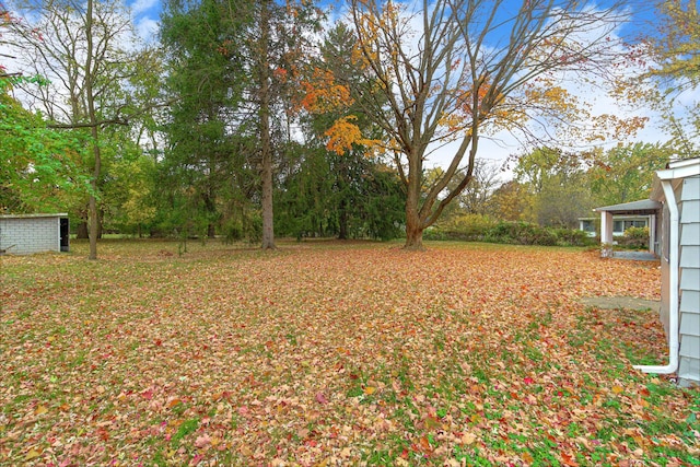 view of yard