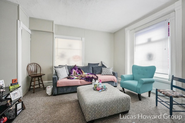 living room with carpet and a textured ceiling