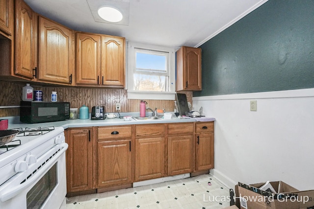 kitchen with sink, white gas range, and crown molding