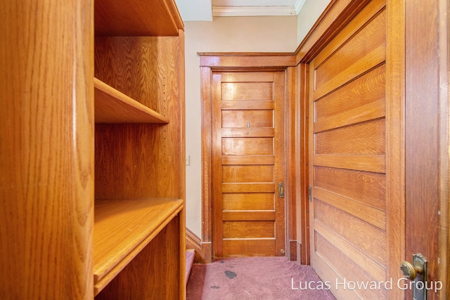 spacious closet with carpet floors