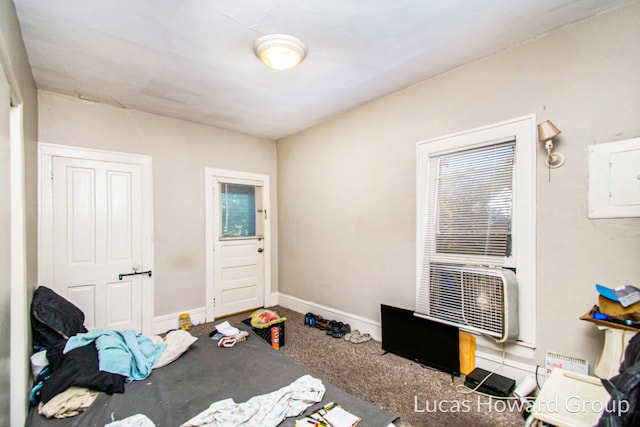 carpeted bedroom with multiple windows