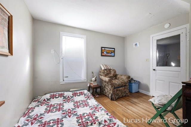 bedroom with hardwood / wood-style flooring