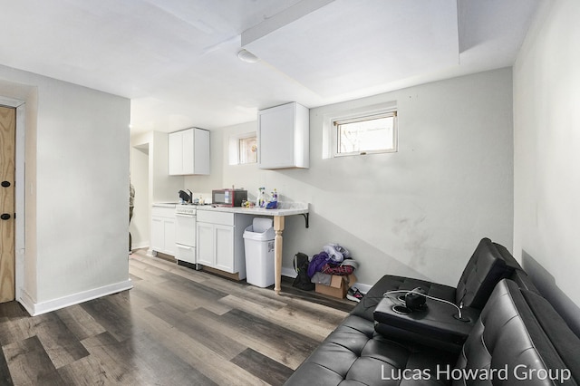 living room with dark hardwood / wood-style flooring