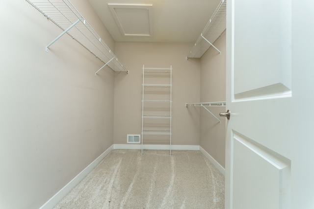 walk in closet with carpet