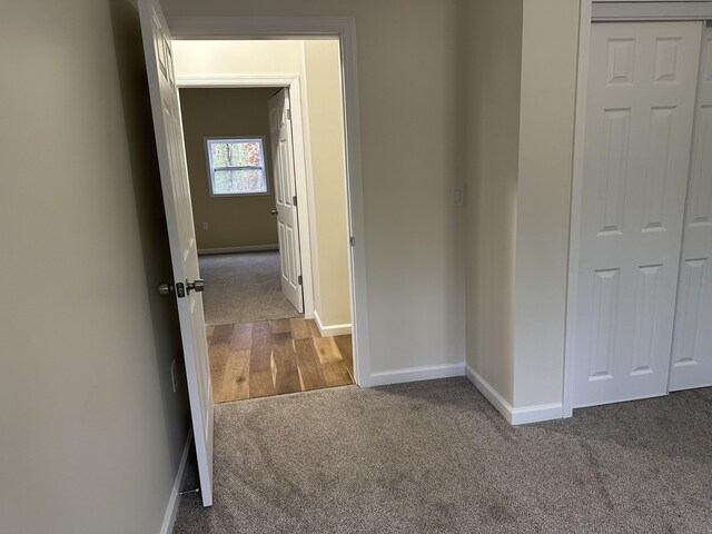 1820 S Reid Rd, Custer, MI 49405 - hallway with carpet and baseboards