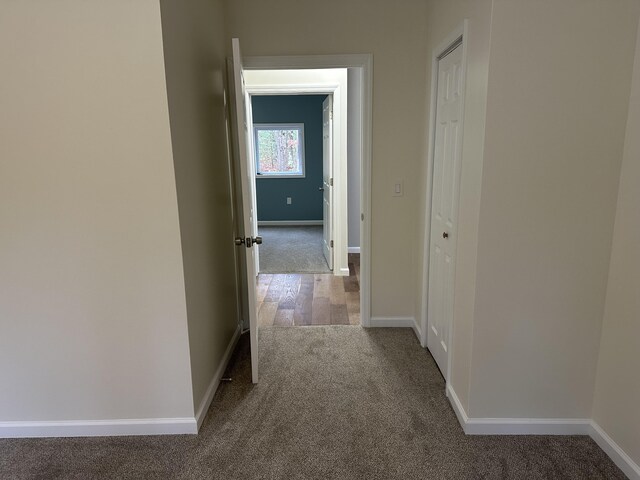 1820 S Reid Rd, Custer, MI 49405 - corridor featuring carpet and baseboards