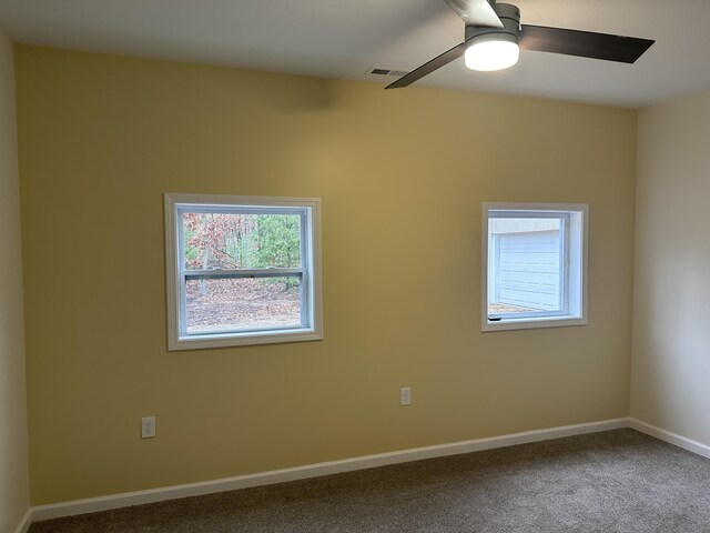1820 S Reid Rd, Custer, MI 49405 - spare room with healthy amount of natural light, a ceiling fan, carpet flooring, and baseboards