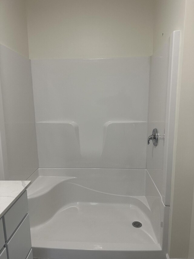 1820 S Reid Rd, Custer, MI 49405 - bathroom with vanity and a shower