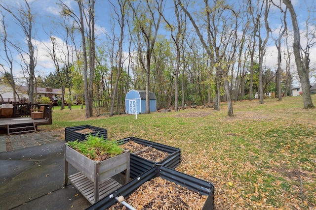 view of yard featuring a shed