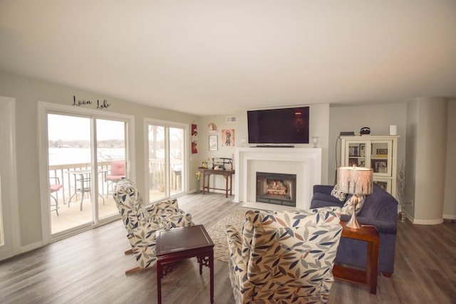 living room featuring hardwood / wood-style floors