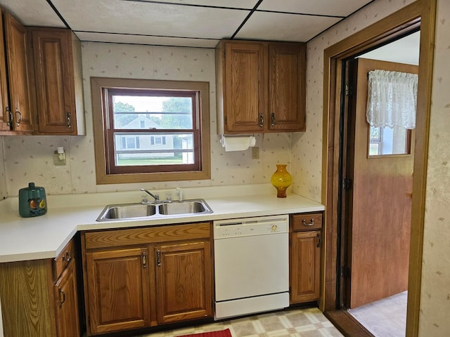 kitchen with dishwasher, a drop ceiling, and sink