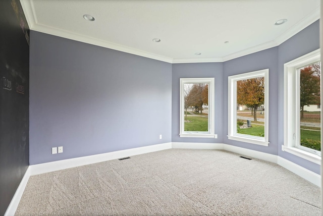 empty room featuring carpet, crown molding, and a healthy amount of sunlight