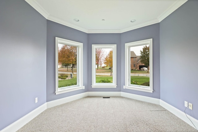 unfurnished room featuring carpet floors and crown molding