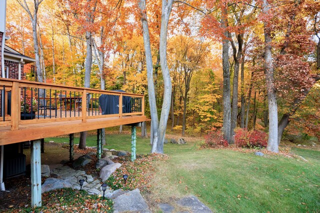 view of yard featuring a wooden deck