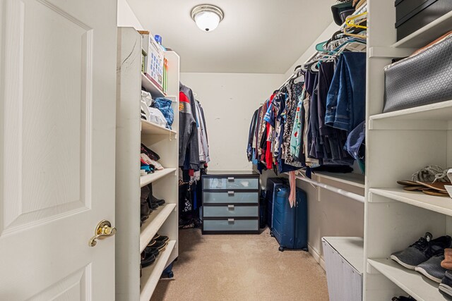 walk in closet with light colored carpet