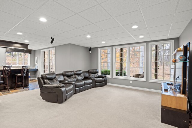 carpeted living room featuring bar and a drop ceiling