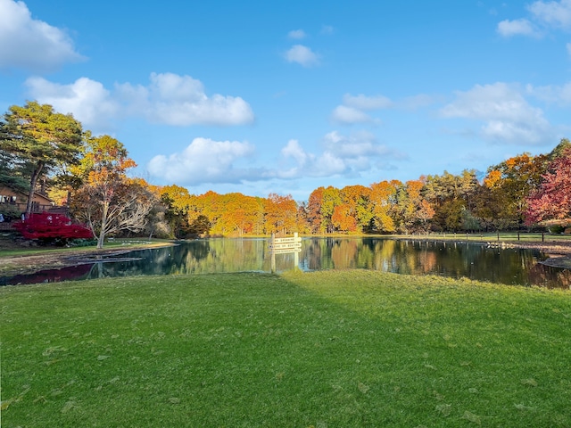 view of yard featuring a water view