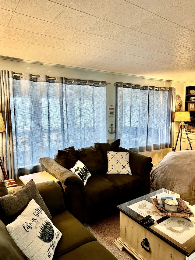 living room with a wealth of natural light and carpet