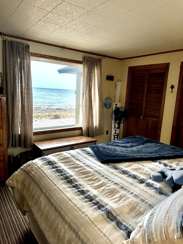 bedroom featuring a closet, a water view, and a beach view