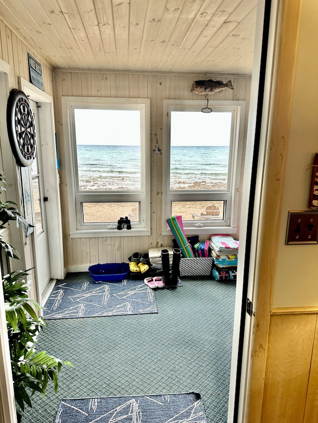 game room with carpet floors, wooden walls, and a water view