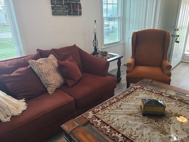 living room with wood-type flooring